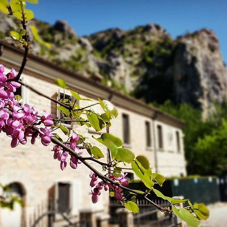 B&B Aquilegia Acqualagna Εξωτερικό φωτογραφία