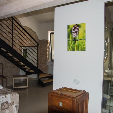 B&B Aquilegia Acqualagna Εξωτερικό φωτογραφία