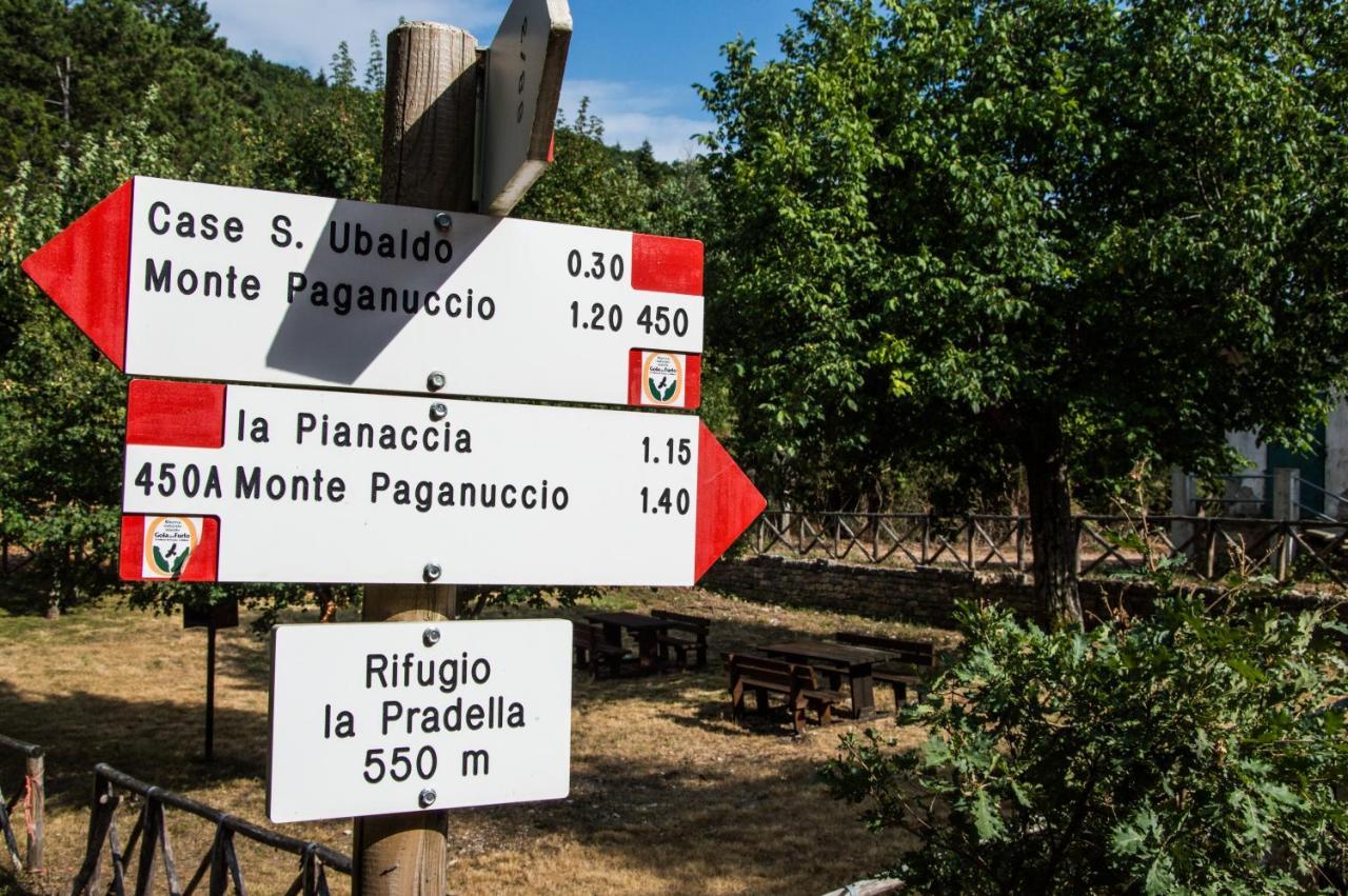 B&B Aquilegia Acqualagna Εξωτερικό φωτογραφία