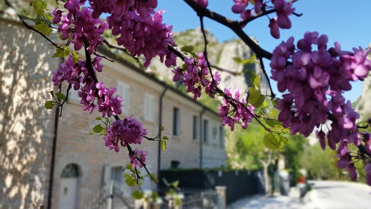B&B Aquilegia Acqualagna Εξωτερικό φωτογραφία