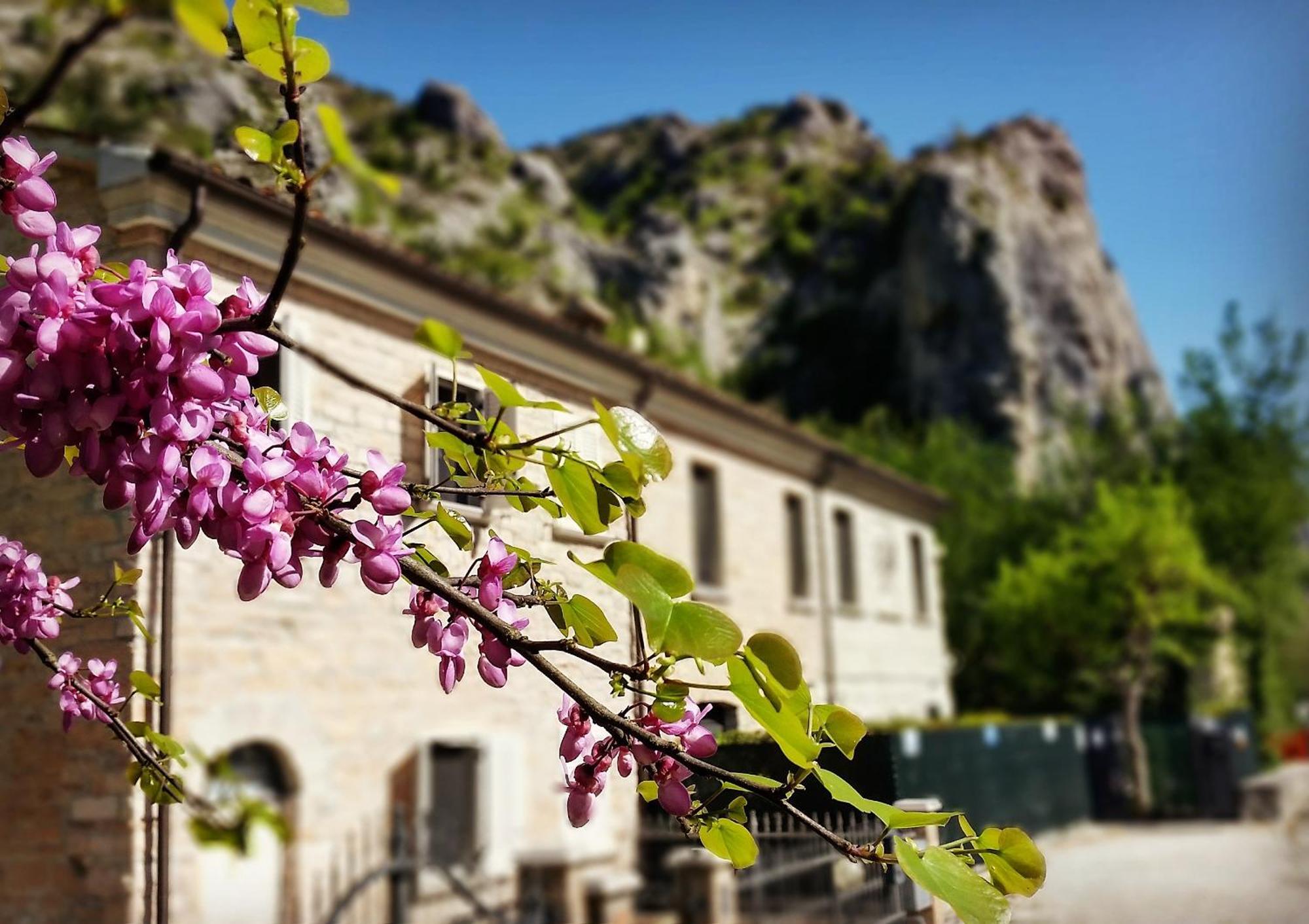 B&B Aquilegia Acqualagna Εξωτερικό φωτογραφία
